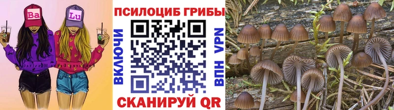 Галлюциногенные грибы мицелий  сколько стоит  kraken как зайти  Устюжна 
